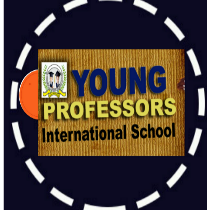 Young Professors Int'l School